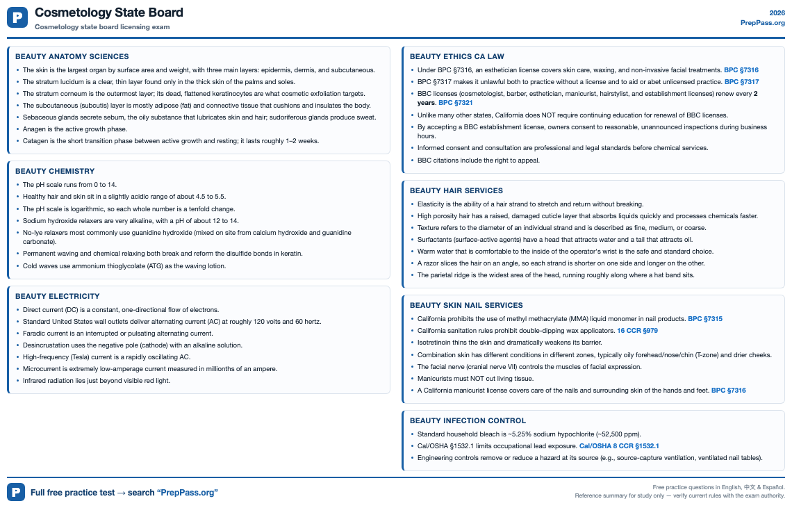 Cosmetology State Board cheat sheet preview