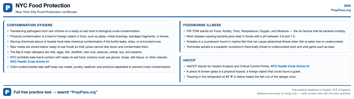 NYC Food Protection cheat sheet preview